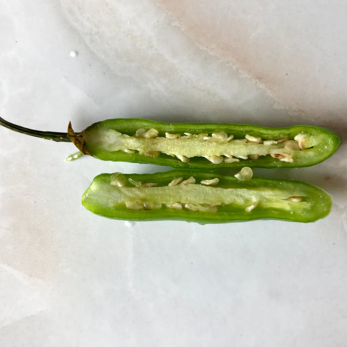 Sliced green serrano chili pepper - Mexico 1492