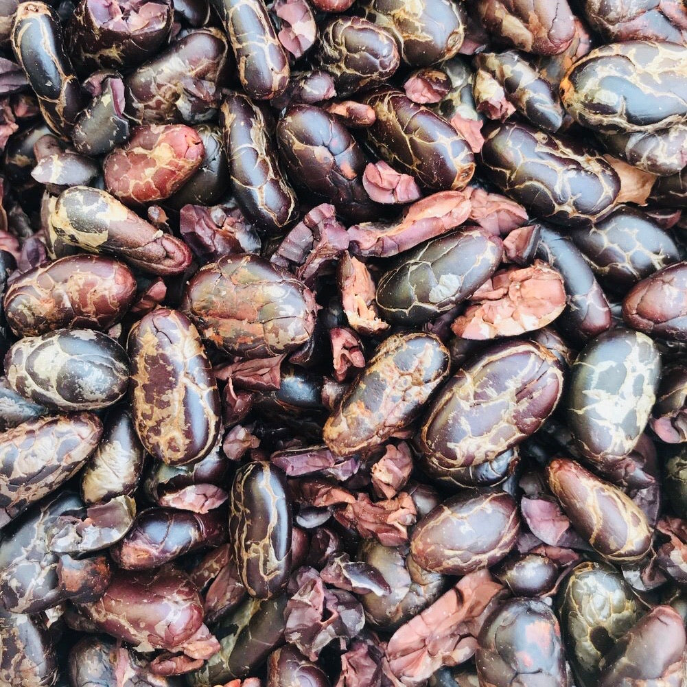 Mexico 1492 - Roasted Cocoa Beans from Oaxaca