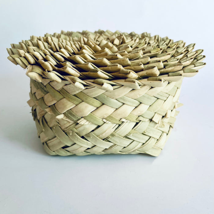 Palm Fiber Nested Baskets - Set of 10