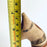 White Handpainted Clay Coin Bank - Dog