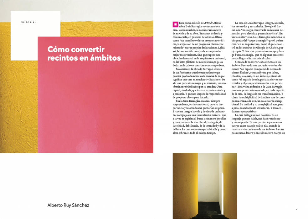 House as manifesto - Luis Barragan's Casa Estudio