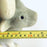 White Clay Candleholder - Bull