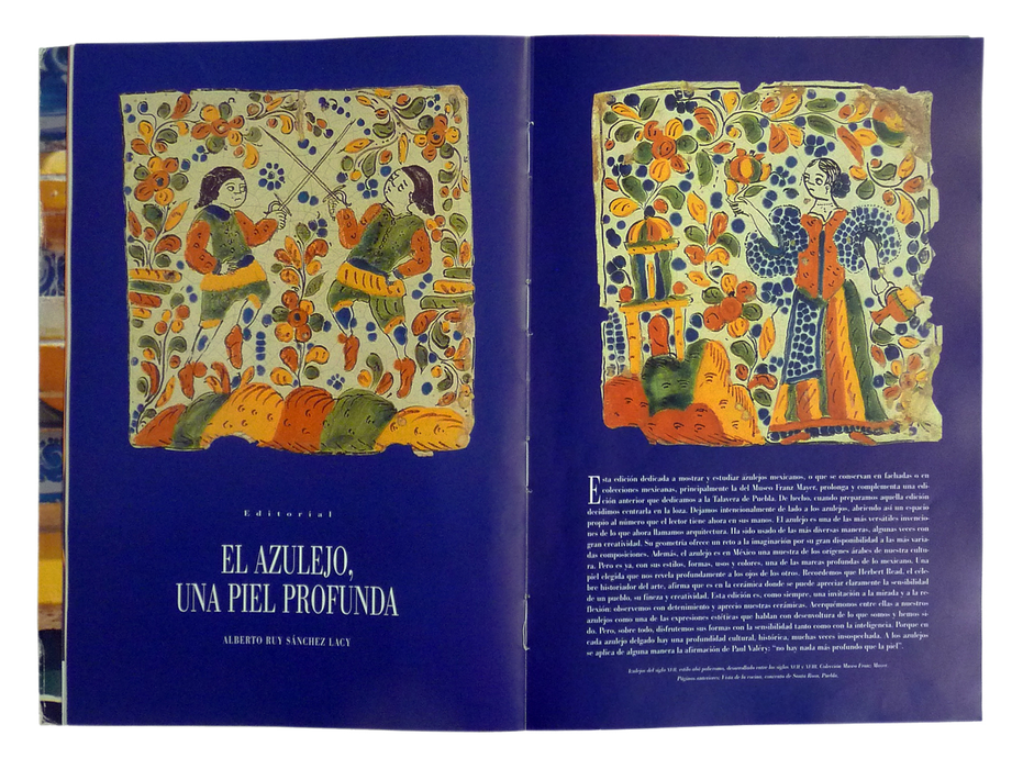 Azulejos - Tiles - Artes de México