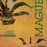 Maguey - Artes de México