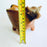 Burnished Clay Bull Salsa Bowl - Brown with Smoke Stains