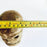 Copal Wood Day of the Dead Calavera