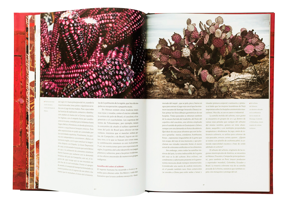 Del Rojo al Rosa Mexicano - From Red to Mexican Pink - Artes de México