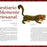 A Zoo of Crafts - Bestiario Artesanal - Artes de México