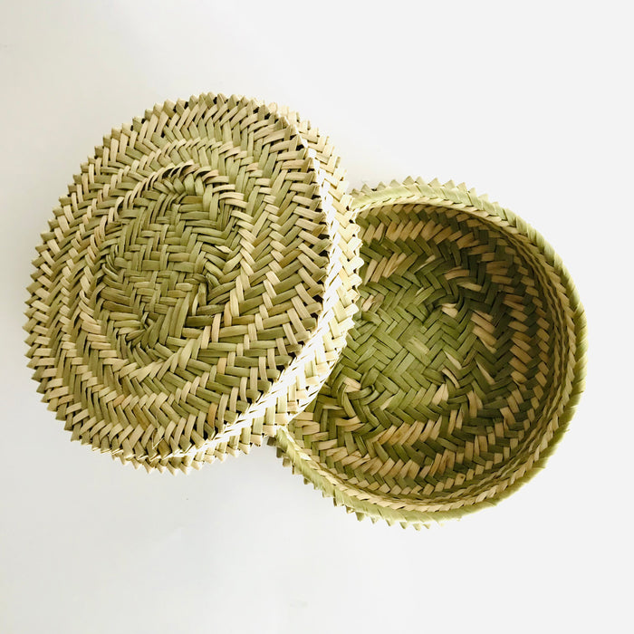 Sotol Fiber Tortillero / Bread Basket with Spikes - Medium