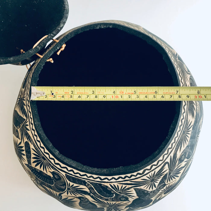 Black Carved Gourd Tortillero