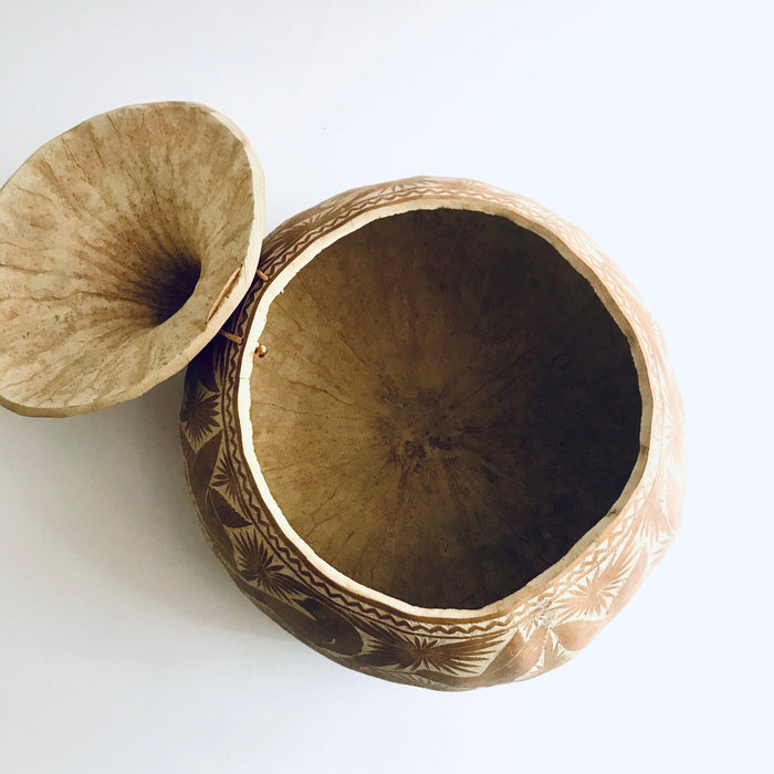 Natural Carved Gourd Tortillero