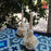 Oaxacan Ornamented Candle with Petals and Leaves - Various Hights