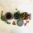 Volcanic Rock Spice Jars with Lids - Set of 3