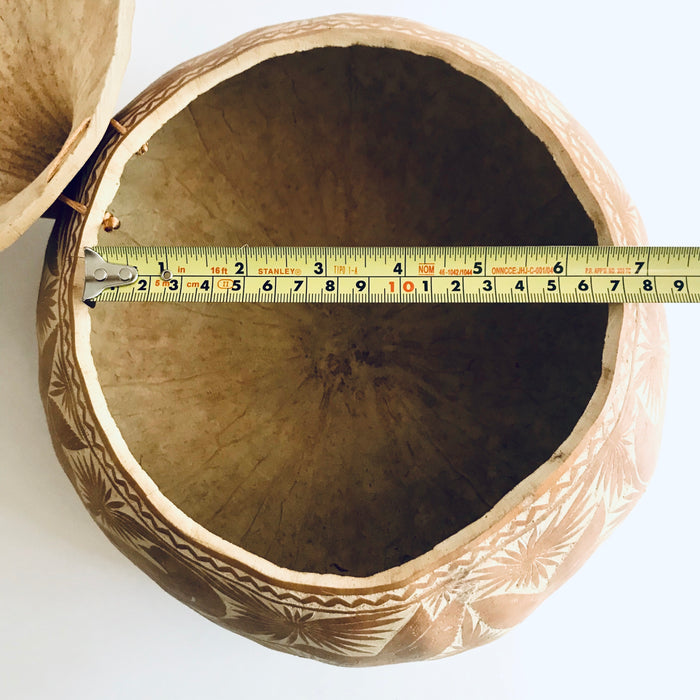 Natural Carved Gourd Tortillero