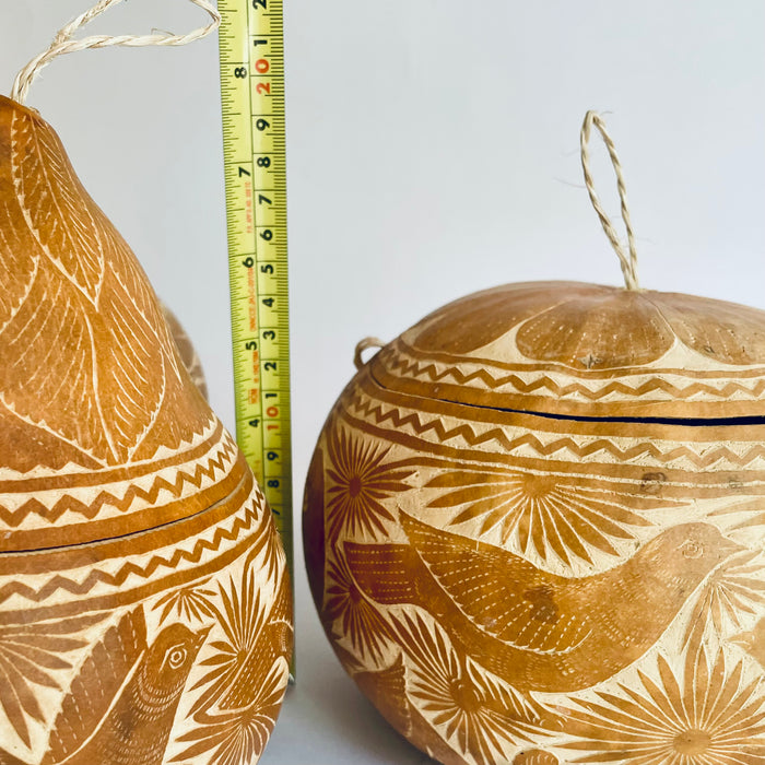 Natural Carved Gourd Tortillero