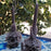 Oaxacan Ornamented Candle with Petals and Leaves - Various Hights