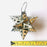 Tinplate Ornaments - Star 3D