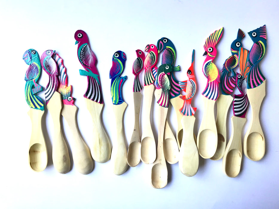 Mexico 1492 - Perfect for serving salsa or mixing drinks. Colorful, hand-painted, with the bird pattern, this basic Oaxacan utensil, so simple in function but so rich in visual effect, enlightens your reunions like no other spoon can.