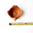 Mexico 1492: Graceful salsa bowl shaped as a bird with wings, made from red clay with a yellowish tone and marked with random flame spots, adding character. Best for serving salsa, appetizers, or salt and spices. Lead free, unglazed. Thanks to the artisanal nature of this handmade product, no two pieces are the same. 