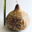 Natural Carved Gourd Tortillero