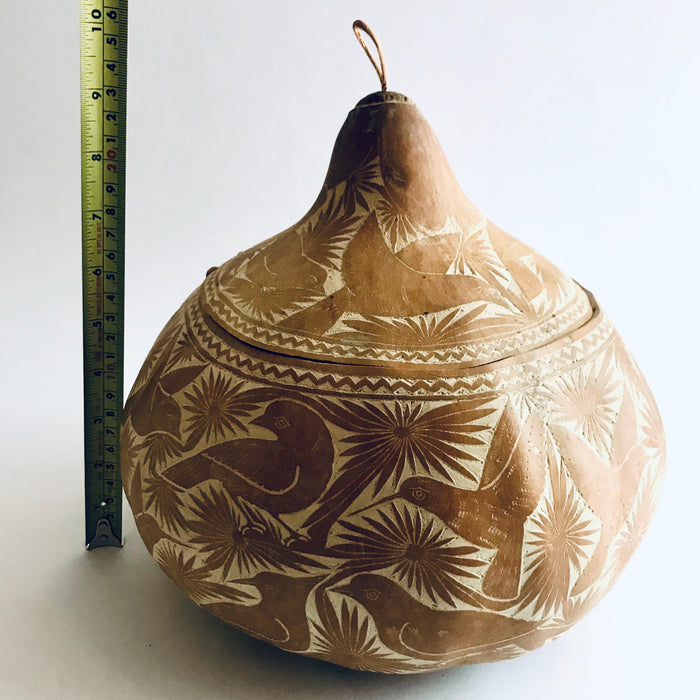 Natural Carved Gourd Tortillero