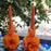 Oaxacan Ornamented Candle with Petals and Leaves - Various Hights