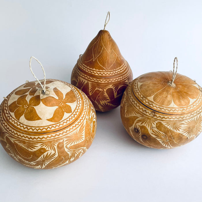 Natural Carved Gourd Tortillero
