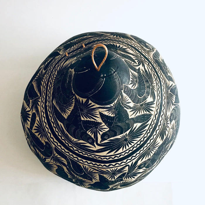 Black Carved Gourd Tortillero